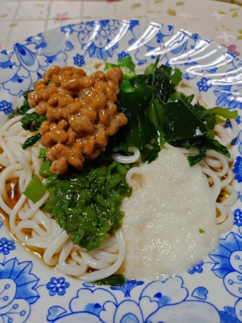 ねばねばうどんに挑戦