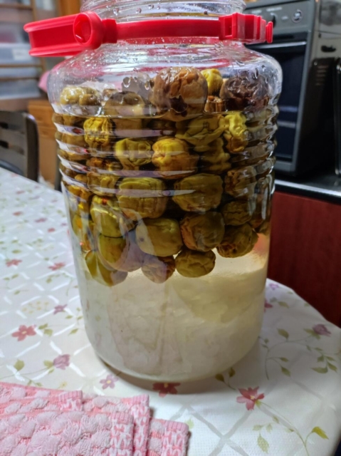 梅シロップを飲みたい私　VS　開かない蓋